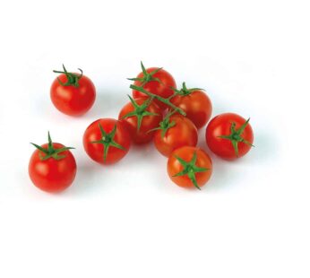 Organic Cherry Tomato Red