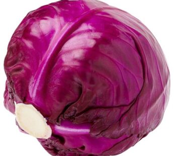 Organic Cabbage Red