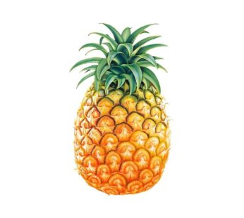 Organic Pineapple