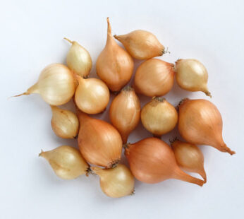 Organic Baby Onion