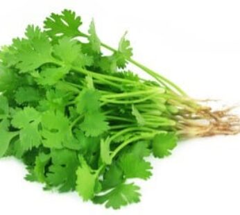 Organic Coriander