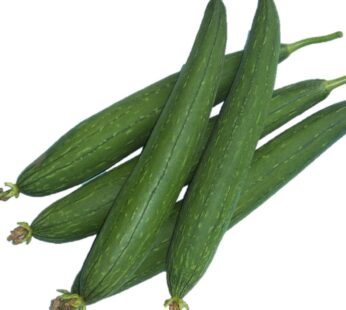 Organic Sponge Gourd