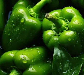 Organic Capsicum Green